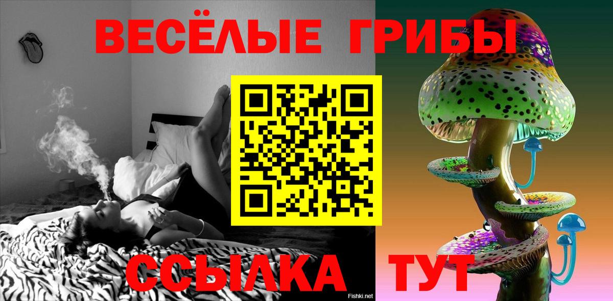 Галлюциногенные грибы Psilocybine cubensis  Вход с VPN  Нижний Новгород 